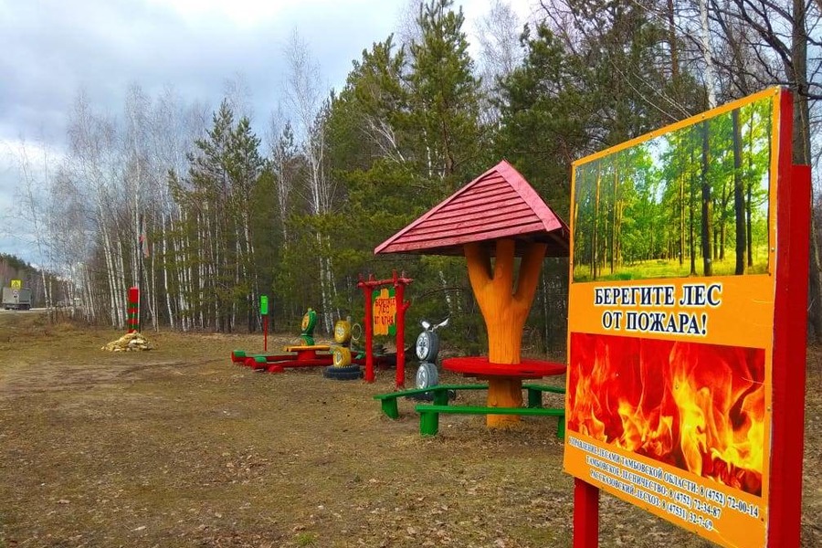В Тамбовской области подготавливают специальные площадки для отдыха в лесу