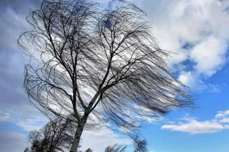 В Тамбовской области 3 апреля ожидается сильный ветер