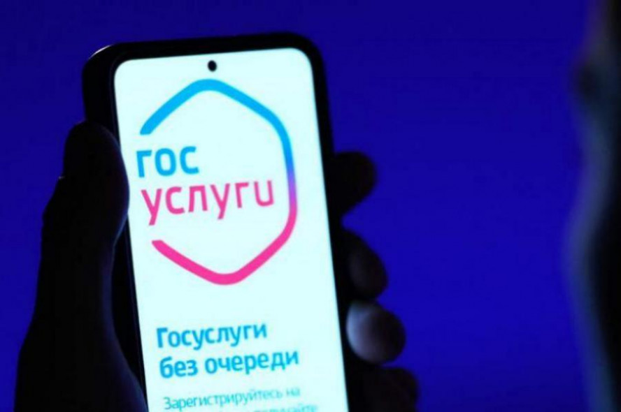 Сервис по самозапрету на кредиты и займы заработал на Госуслугах