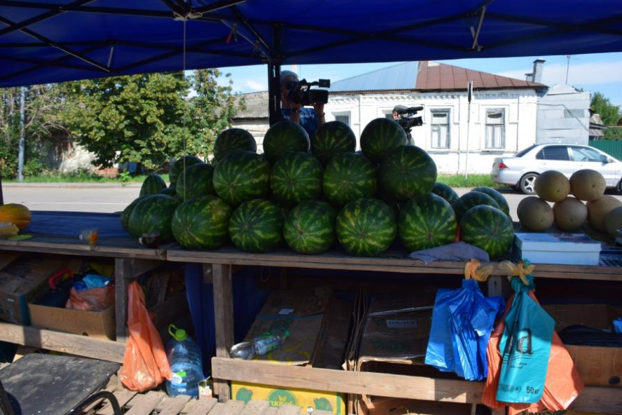 В Тамбове проверили законность торговли бахчевыми