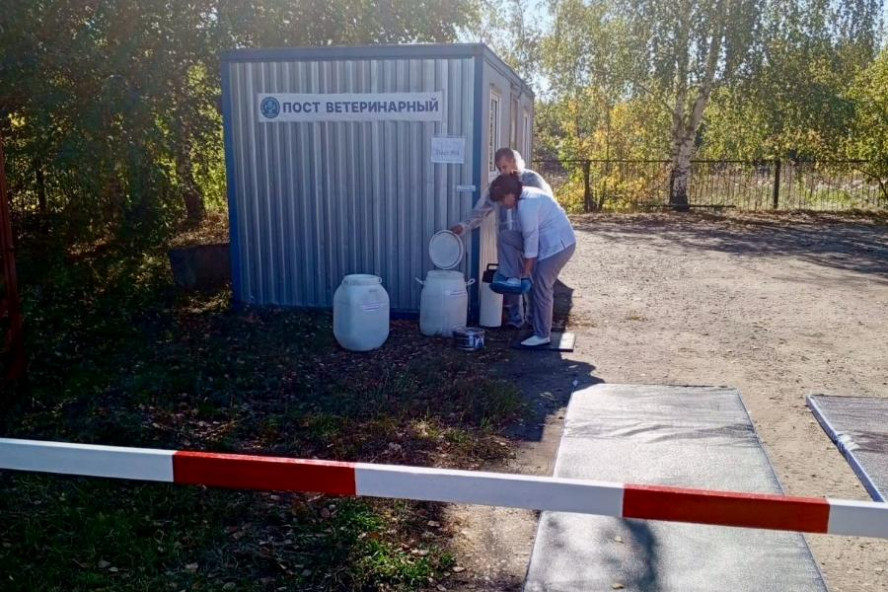 В Тамбовской области провели учения по ликвидации очага африканской чумы свиней