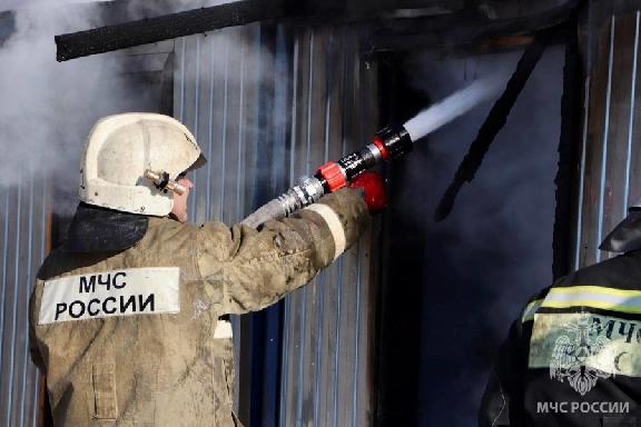 За неделю при пожарах в Тамбовской области погибли шесть человек