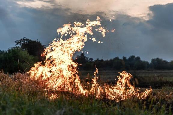 В Тамбовской области стартует противопожарная кампания "Останови огонь!"