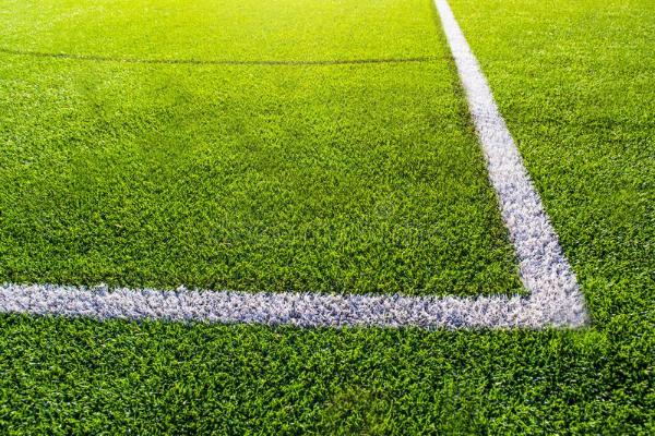 Тамбовская область получит искусственное покрытие для футбольного поля 