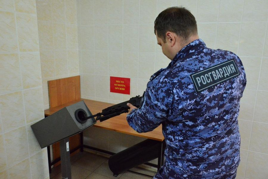 В Тамбовской области изъяли 9 единиц оружия