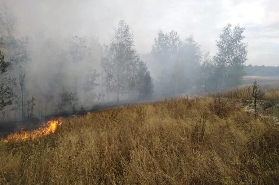 Противопожарный режим в Тамбовской области продлили до ноября