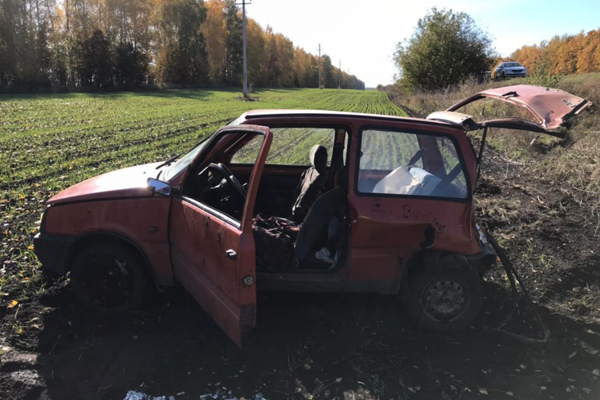 В Тамбовской области госпитализировали 89-летнего водителя "Оки"