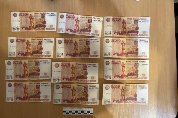 Тамбовские полицейские изъяли 234 фальшивые денежные купюры