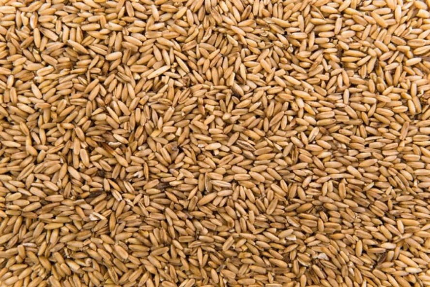 В Тамбовской области собрали 5 миллионов тонн зерна