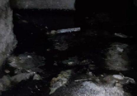 В одном из домов Жердевки канализационными стоками затопило подвал