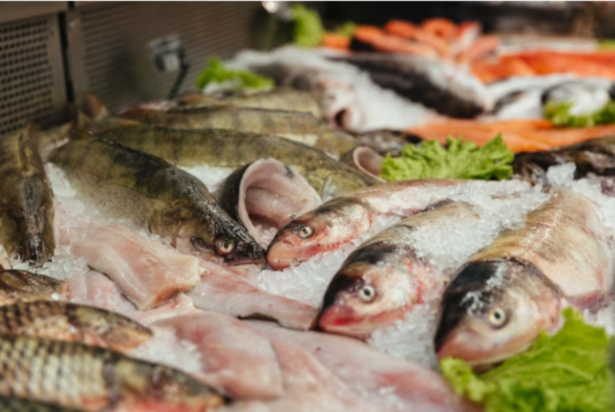 В России ввели запрет на ввоз рыбы и морепродуктов из недружественных стран