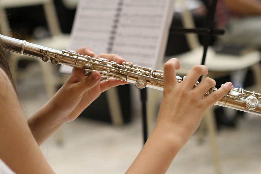 Новые музыкальные инструменты получили ещё три школы искусств Тамбова