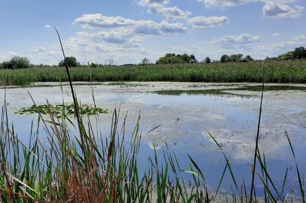 В Тамбовской области за год выявили 73 нарушения природоохранного законодательства