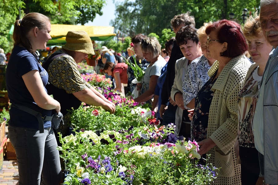На Фестиваль цветов в Тамбов съедутся лучшие цветоводы из других городов