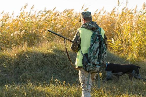 В Тамбовской области хотят ввести льготные категории охотников