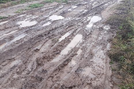 Жители Рассказовского района просят власти отремонтировать дороги