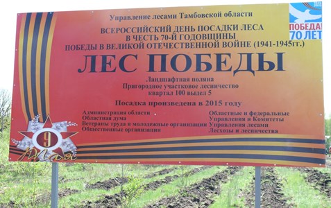 На ландшафтной поляне в Пригородном лесу вырос Лес Победы