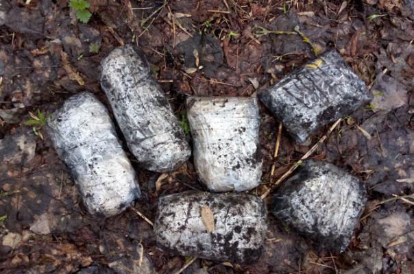 В Тамбовской области обнаружен тайник с 6 килограммами наркотиков