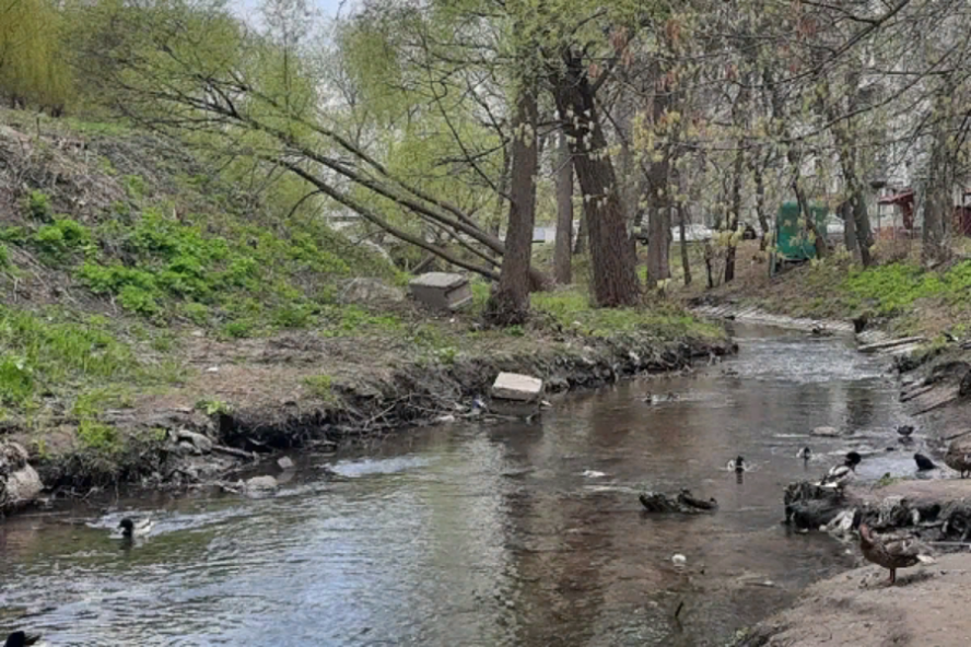 В Тамбовской области расчистят и благоустроят реки Челновая и Студенец