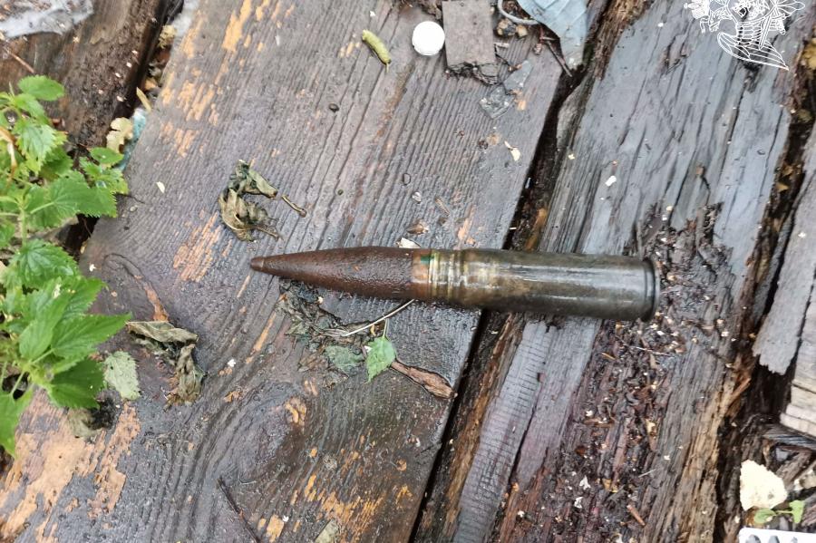 В Моршанске на контейнерной площадке обнаружен боеприпас времён войны