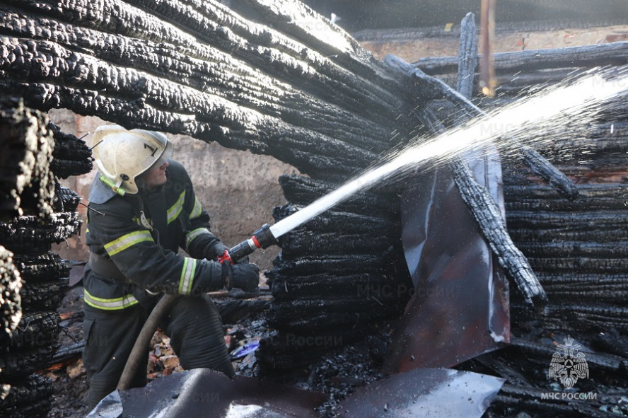 В Тамбовской области за неделю в пожарах погиб один человек