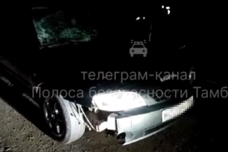 В Тамбовской области водитель иномарки насмерть сбил пешехода