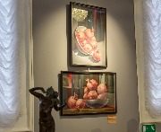DSC_0768.jpg