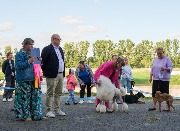 DSCF9275.jpg