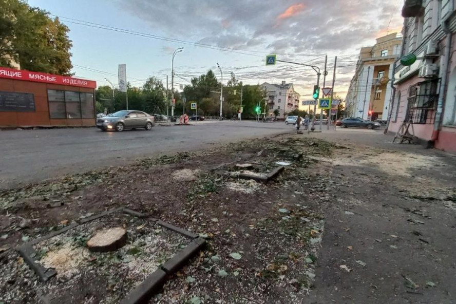 "Полысевшую" улицу Энгельса в Тамбове засадят пятиметровыми липами