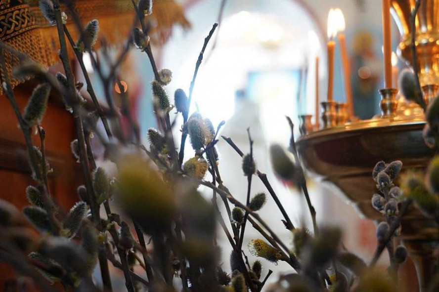 Православные тамбовчане празднуют Вербное воскресенье