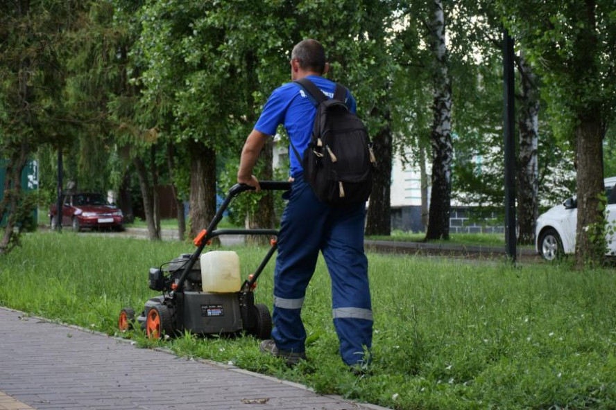 В парках и скверах Тамбова проводят формовочную стрижку кустарников