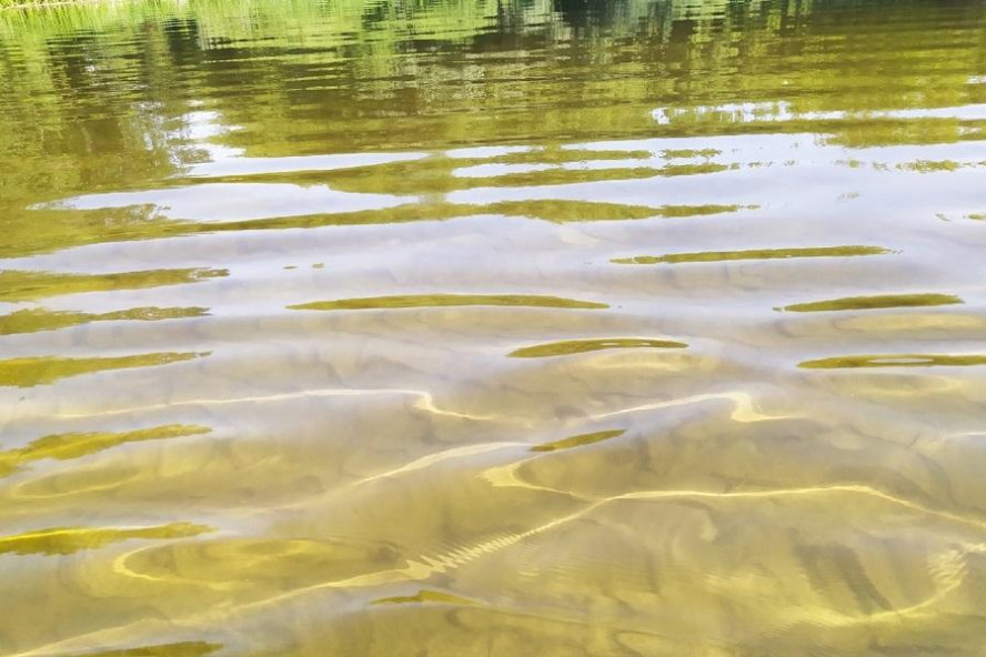 На Котовском водохранилище спасли тонущего мужчину