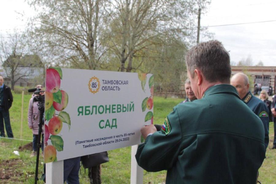 В Тамбовской области состоялся открытый форум "Школьное лесничество"
