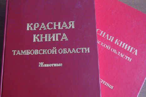 Учёные Державинского начали работу над переизданием раздела "Животные" Красной книги Тамбовской области