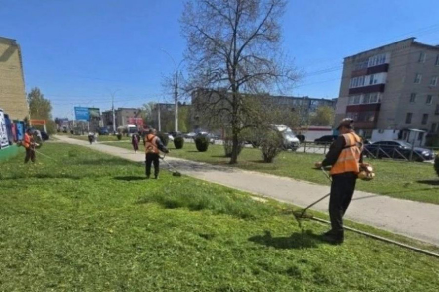 Тамбовские УК привлекают к ответственности за несвоевременный покос травы 