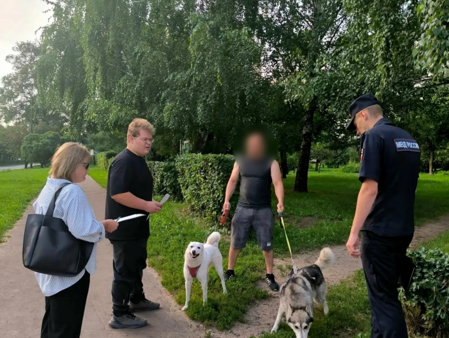 В Тамбове проверили соблюдение правил выгула домашних животных