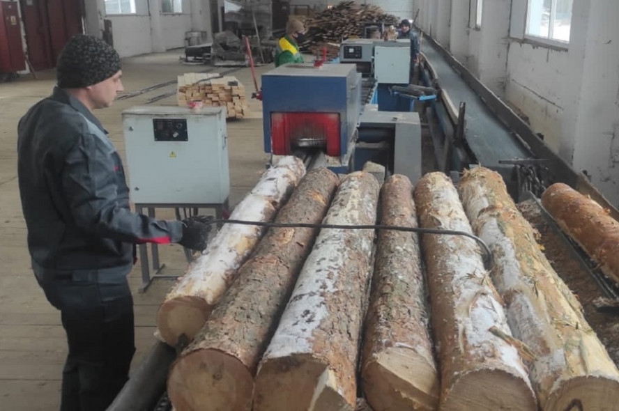 В Тамбовской области ведётся глубокая переработка древесины