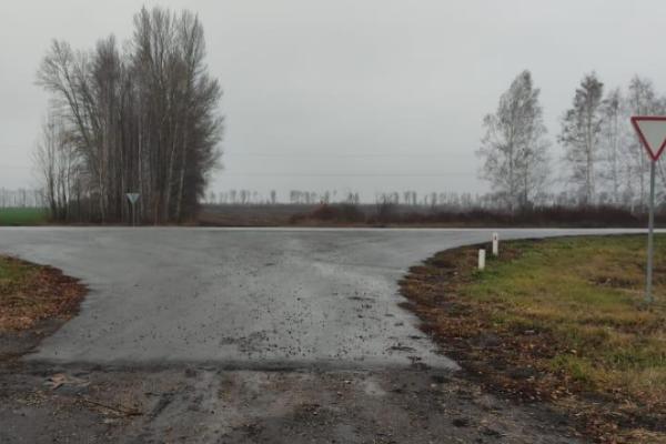 В Тамбовской области водитель "ГАЗа" насмерть сбил пешехода