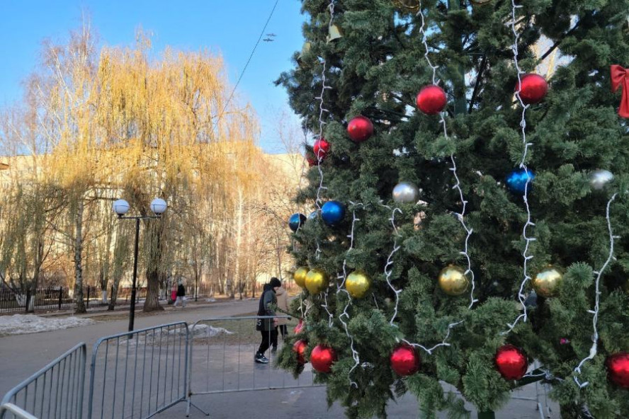 Около ста дворов в Тамбове украсят новогодними елками