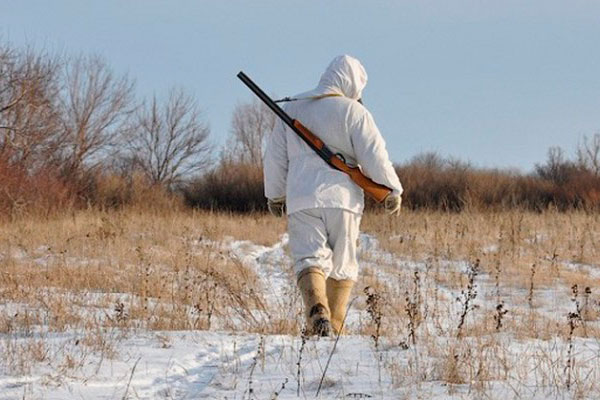 В Тамбовской области охотники просят уменьшить количество зон покоя