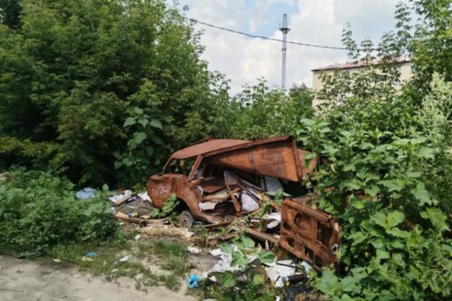 В Тамбове ищут хозяина ржавого каркаса автомобиля