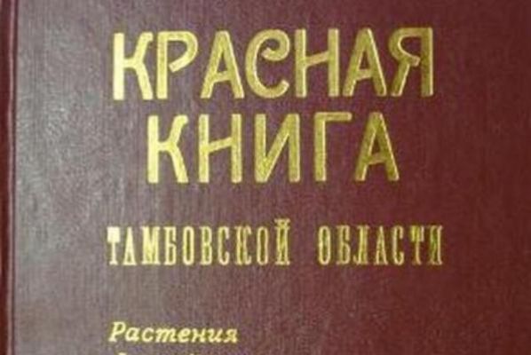 Статус Красной книги Тамбовской области будет изменён