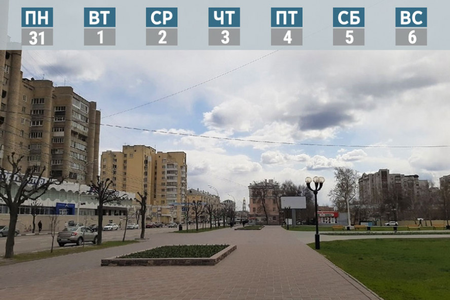 Обзор за неделю: свора собак на севере областного центра, 12 млн рублей на закупку декора ко Дню Победы, 15-летие ИА "Онлайн Тамбов.ру"