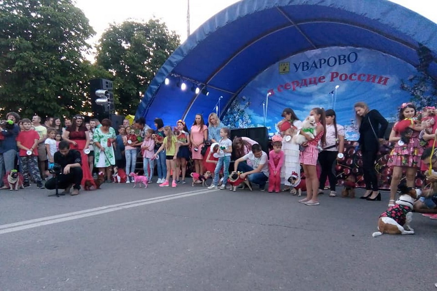 Принять участие в фестивале "Вишневарово" тамбовчане смогут в онлайн-формате