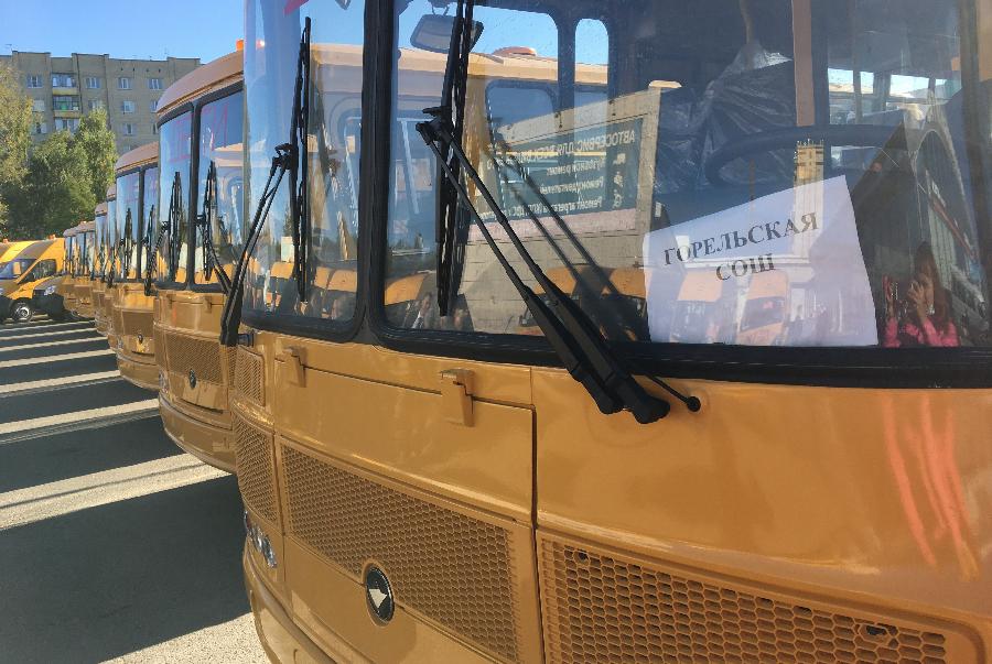 В Тамбовскую область поступили новые школьные автобусы