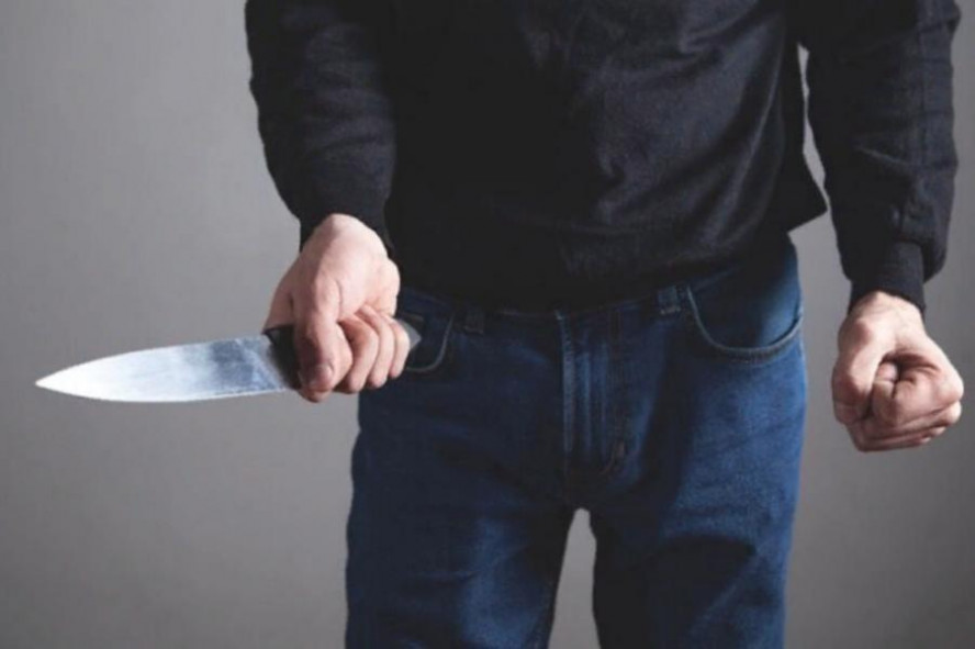 Житель Пензенской области ударил ножом тамбовчанина