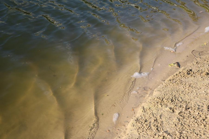 В округе Тамбова вода в реке Цна не прошла проверку Роспотребнадзора