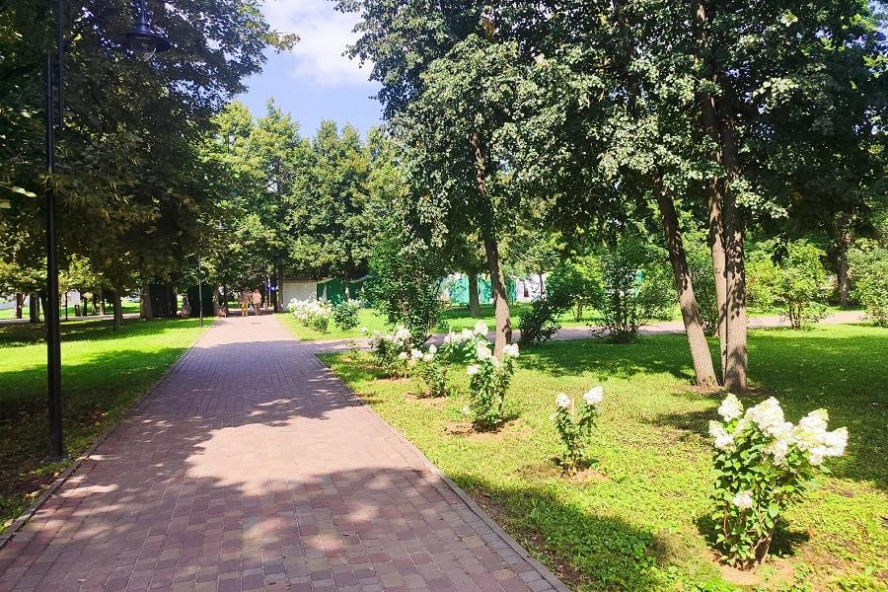Сентябрь в Тамбовской области начнётся с летнего тепла до +30°C