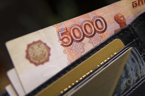 Тамбовской области выделят 655 тысяч рублей для ежемесячных выплат на детей 