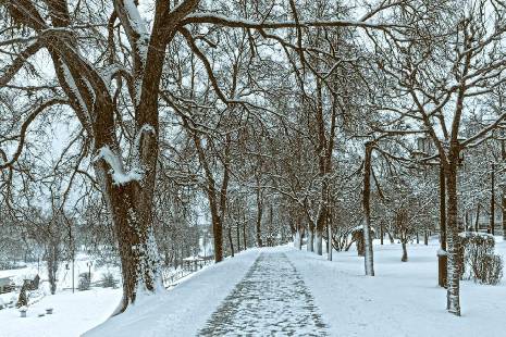 Синоптики о погоде: зима нанесёт кратковременный визит в Тамбовскую область